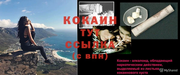 прущие крисы Заводоуковск