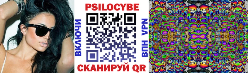 хочу наркоту  Славгород  Псилоцибиновые грибы Magic Shrooms 