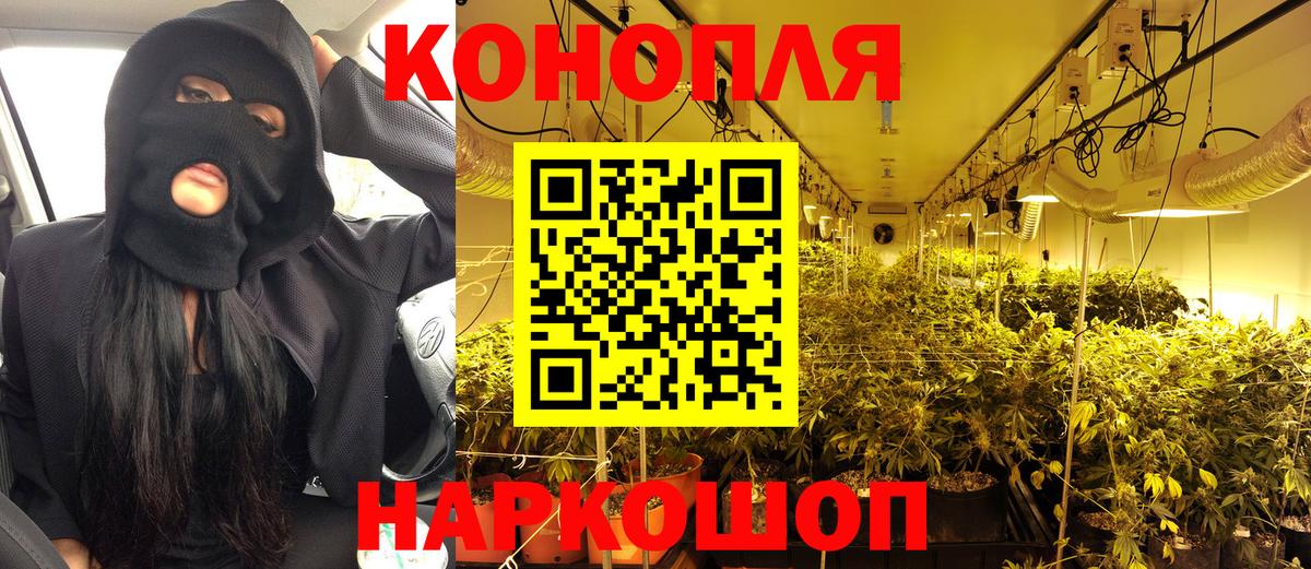 Марихуана сатива  Славгород  Бошки марихуана индика  Конопля Bruce Banner 